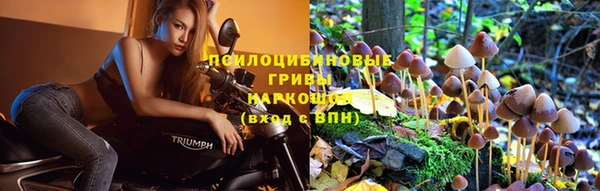 мет Кодинск