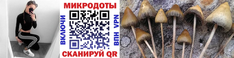 Галлюциногенные грибы ЛСД  Кашира 